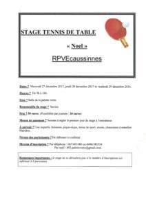 stage Ecaussinnes Noël 2017.pdf