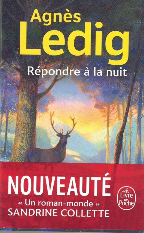 Agnès Ledig - Répondre à la nuit